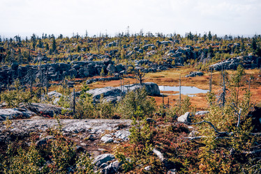 Similar image 22267029