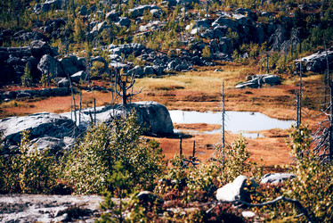 Similar image 22267030