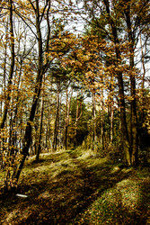 Similar image 22267031