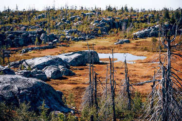 Similar image 22267032