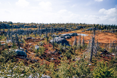 Similar image 22267033