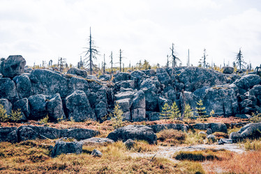 Similar image 22267034