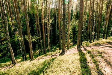 Similar image 22267035