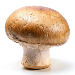 Similar image 22252662