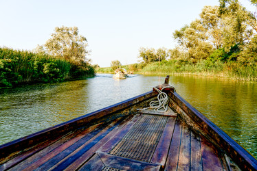 Similar image 22268130