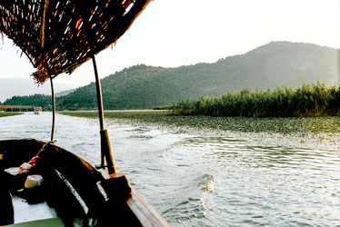 Similar image 22268134