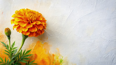 Similar image 22252992