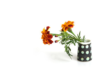 Similar image 22254424