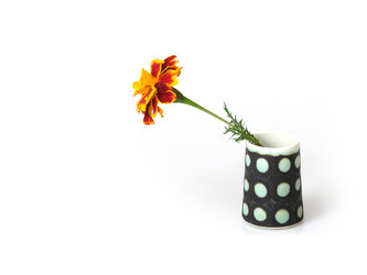 Similar image 22254426