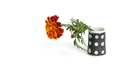 Similar image 22254427