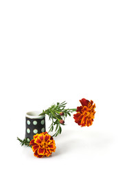 Similar image 22254428