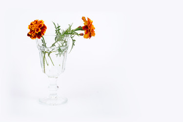 Similar image 22254429