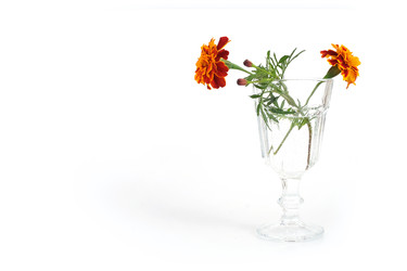 Similar image 22254430