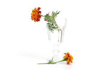 Similar image 22254431