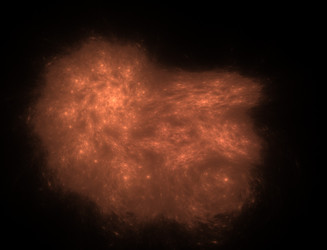 Similar image 22286529