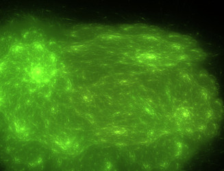 Similar image 22286538