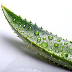 Similar image 22252381