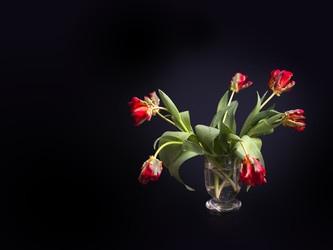 Similar image 22254857