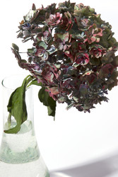 Similar image 22254861