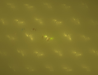 Similar image 22286301