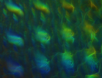 Similar image 22286543