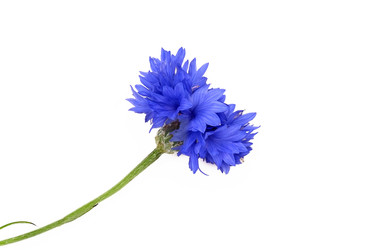 Similar image 22271662