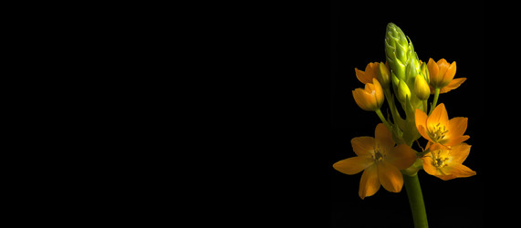 Similar image 22272005