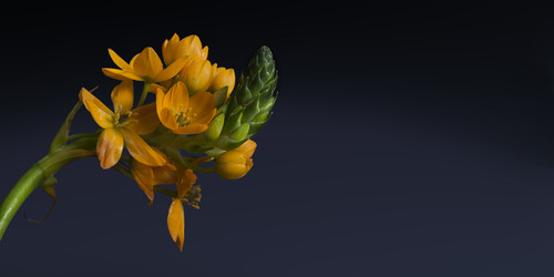 Similar image 22272006