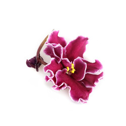 Similar image 22254327