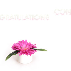 Similar image 22254330