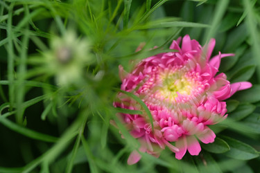 Similar image 22254331