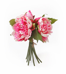 Similar image 22254475