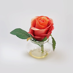 Similar image 22254477