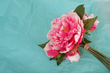 Similar image 22254486