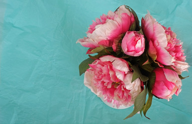 Similar image 22254488