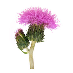 Similar image 22254490