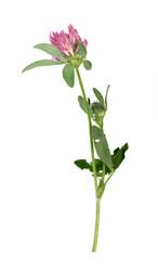 Similar image 22254493