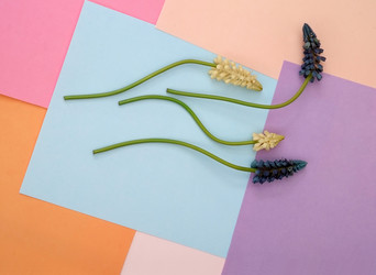 Similar image 22254498