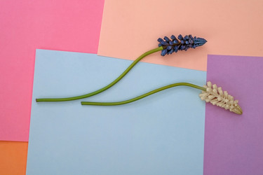 Similar image 22254500