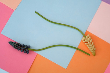 Similar image 22254501