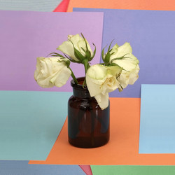 Similar image 22254505