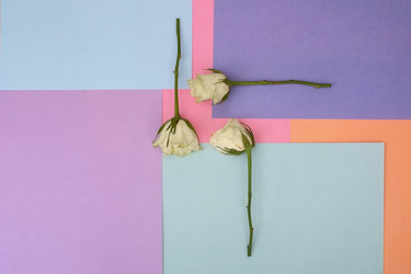 Similar image 22254507