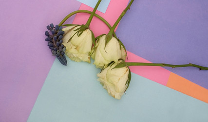 Similar image 22254676