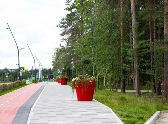 Similar image 22260142