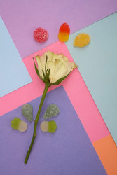 Similar image 22254718