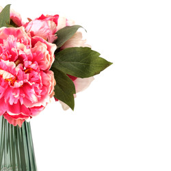 Similar image 22254723