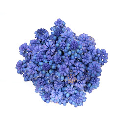 Similar image 22254730