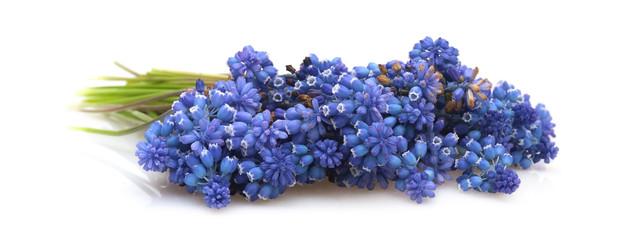 Similar image 22254731