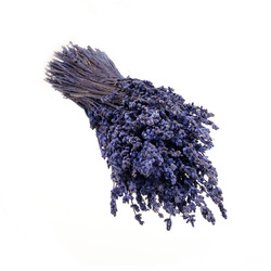 Similar image 22254734