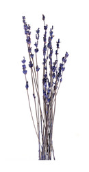 Similar image 22254736